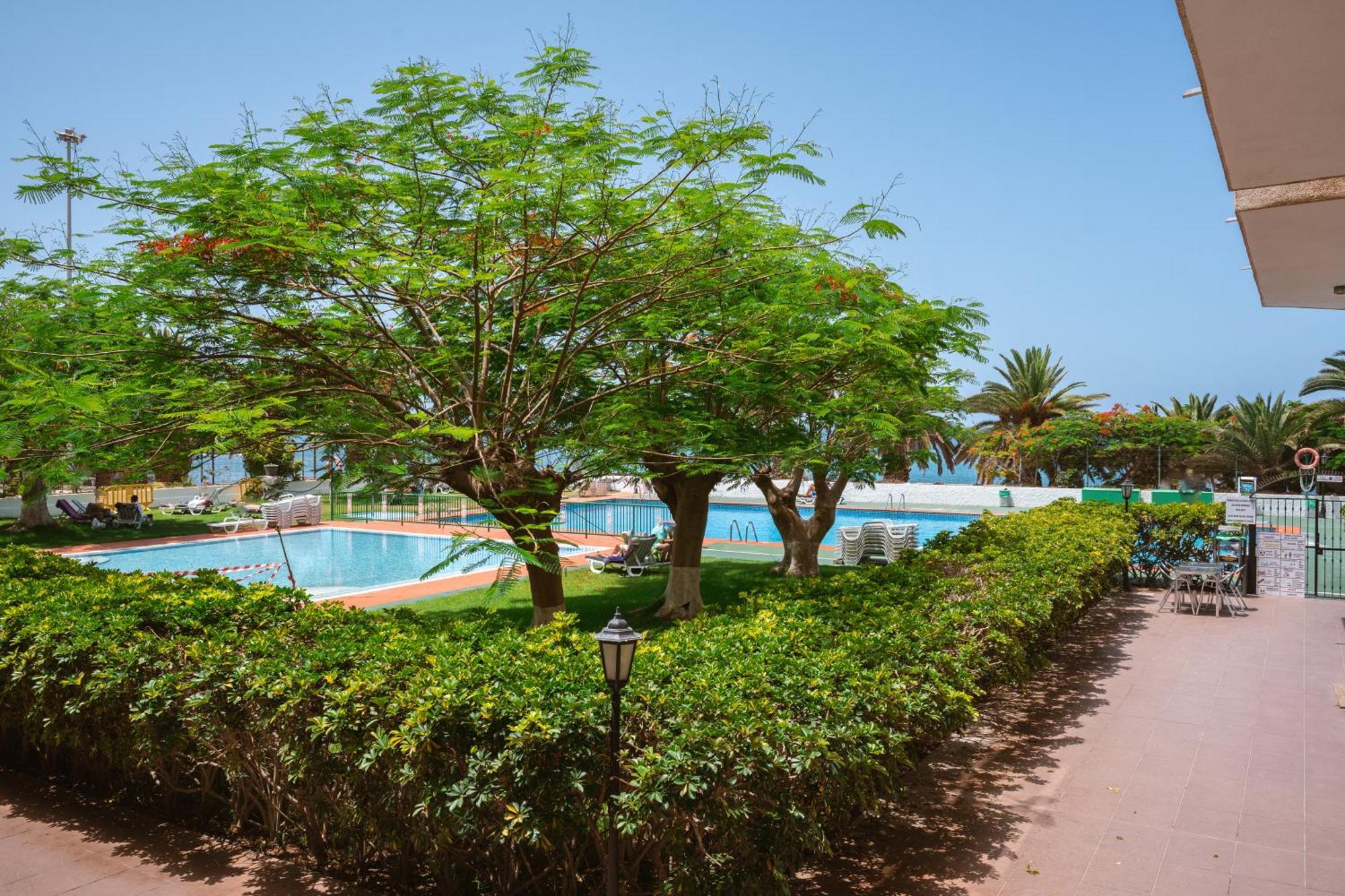 Go2Tenerife Apart'Dida Pool & First Line Of The Sea Лос Кристианос Экстерьер фото